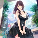 如月真綾の誘惑 パッケージ画像