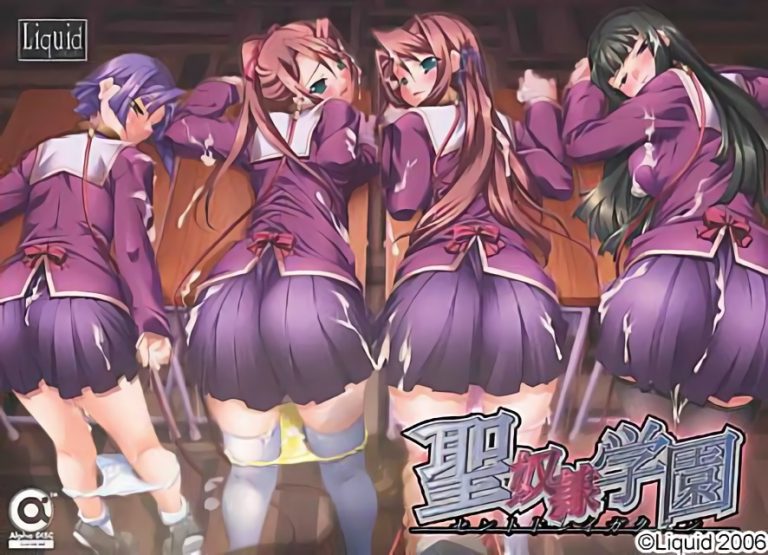 聖奴隷学園 パッケージ画像